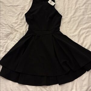 NWT Black Sleeveless Dress. High neck. Fit and flare.